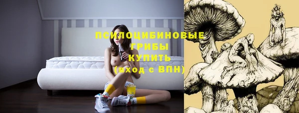 гашик Верхнеуральск