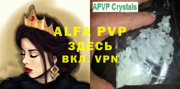 спиды Верея