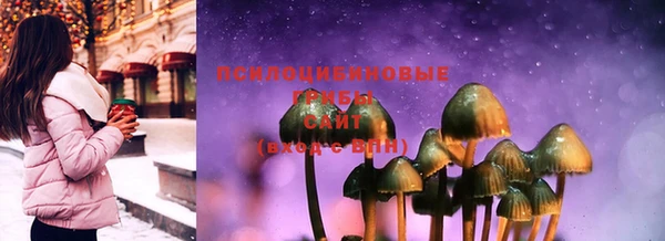 мдпв Верхний Тагил