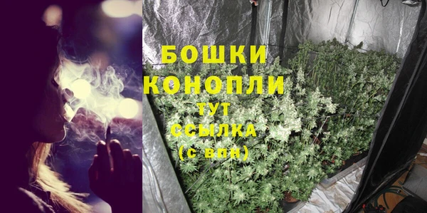 спиды Верея