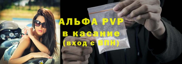 спиды Верея