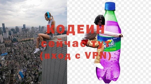 мдпв Верхний Тагил